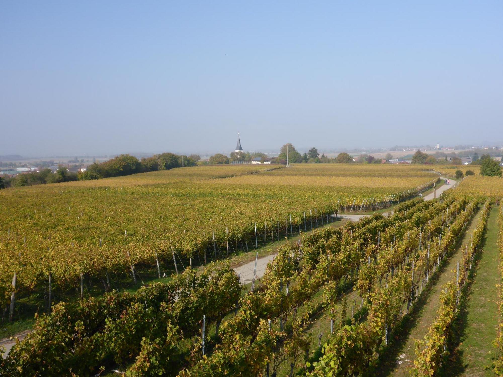 Ferienwohnung Weyl Eschbach  外观 照片